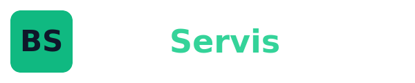 Blog Servis