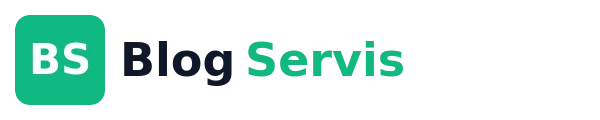 Blog Servis