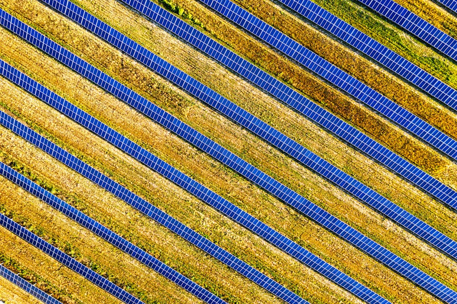 solar panel field