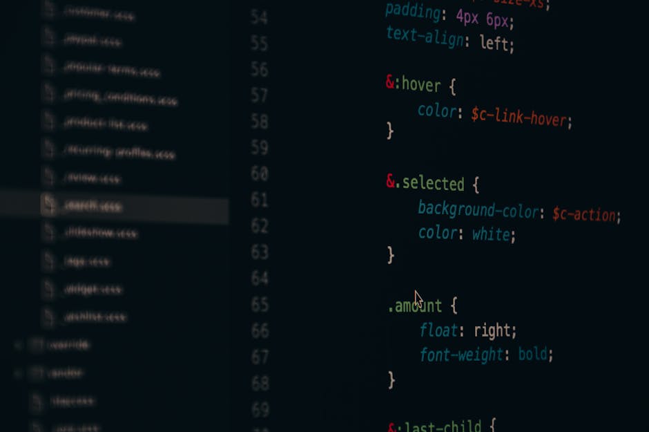software developer code